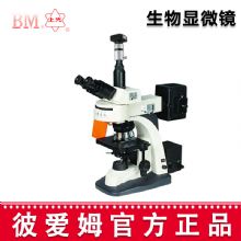 彼愛姆電腦熒光顯微鏡BM-21AYD 電腦、落射電腦熒光顯微鏡