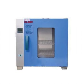 歐萊博電熱恒溫干燥箱DHG-9250B 270L/不帶風機